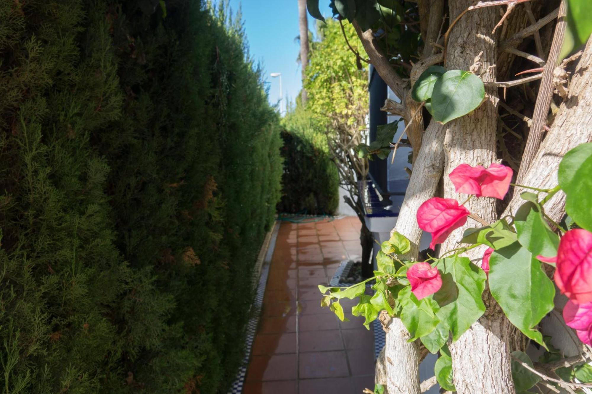 Apartamento Alextia La Barrosa Chiclana de la Frontera Zewnętrze zdjęcie